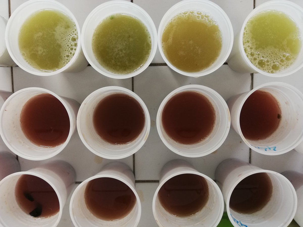 Pascal Hénot tweet media