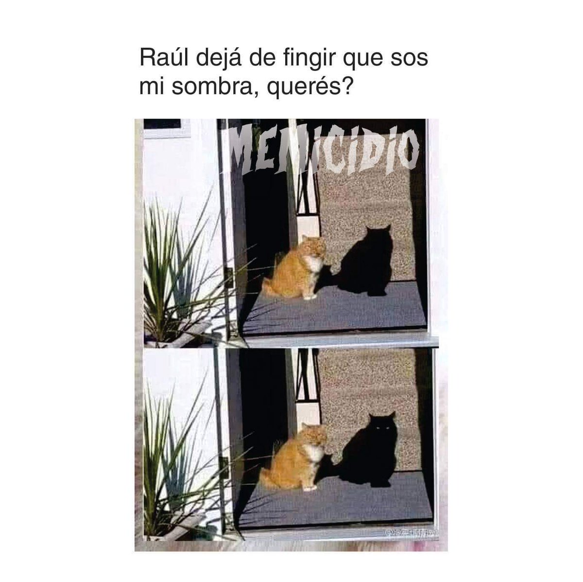 La Seriedad de Raúl: Risas Contagiosas en TikTok, image size:1200x1197