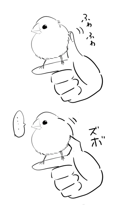 文鳥、動じなさすぎる 