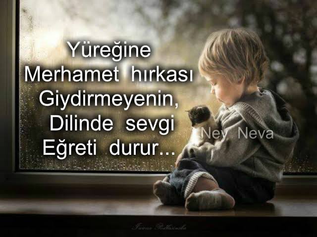 Umut Yılmaz Han (@umutylmazhan1) on Twitter photo 