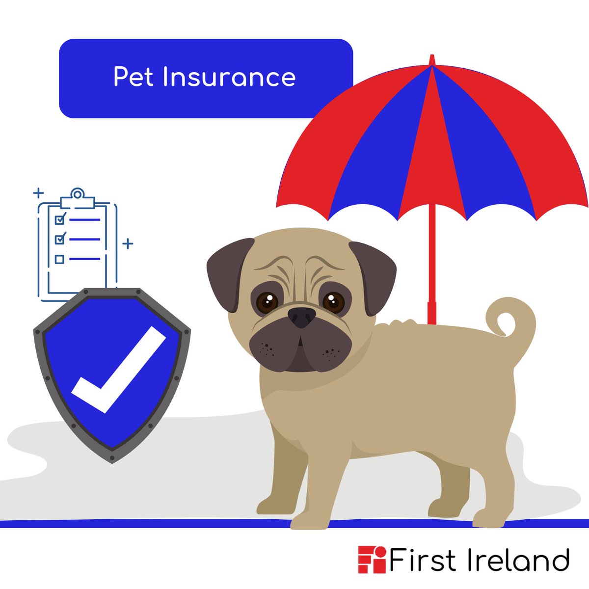 First Ireland tweet media