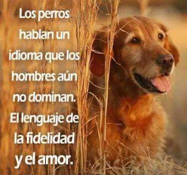 Rafa_espinal's tweet photo. https://t.co/y0bMjxskVH