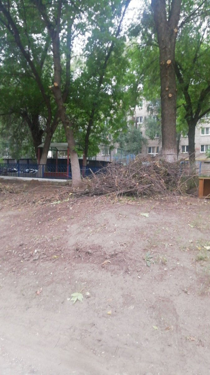 Марина tweet media