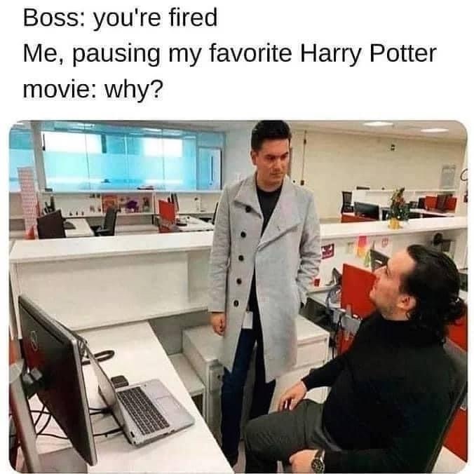 TheDailyHPotter's tweet photo. Admit it, this would be you 😆 https://t.co/8SAdrJyTn2