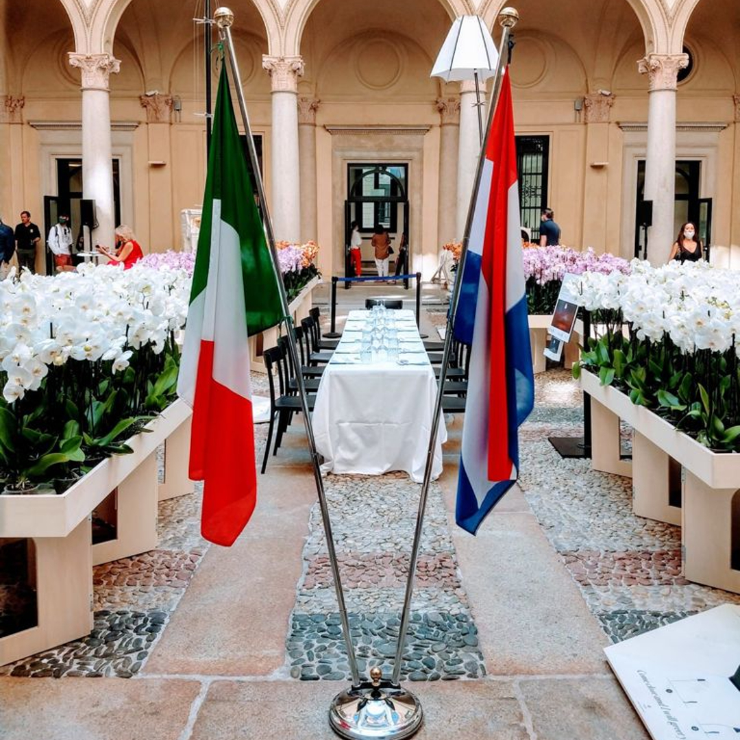 Levoplant tweet media