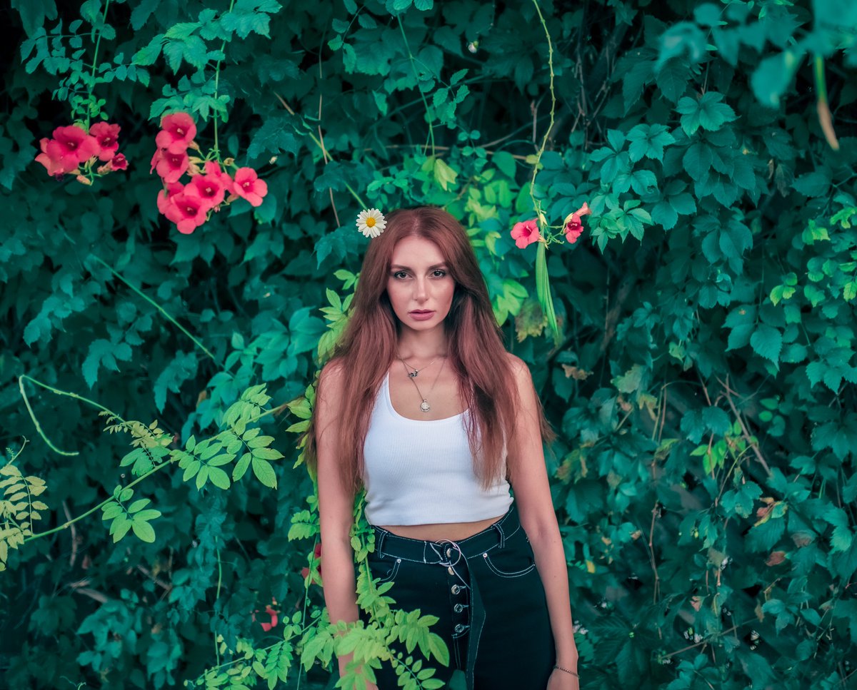 Nickos IV 📸 tweet media