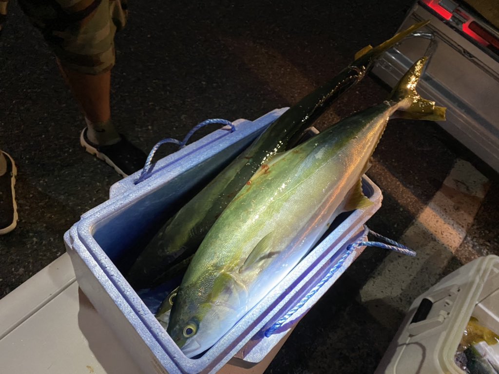 gustokoasul's tweet photo. 初の八里ヶ瀬釣行　見島沖
5:00〜16:30
船は出たが思ったより時化た為、体力勝負。
水深50〜90mの岩礁帯が淡々と続くポイント。
こんなん、もうウハウハ。
魚種多彩、ヒラメ、甘鯛、マハタは嬉しかった！
全体的にタイラバに何故か青物が良く食って来るというコンディションでした。
良き経験！最高！ https://t.co/AYOewZcD0O
