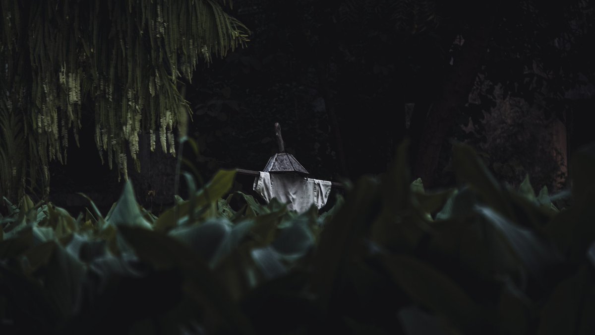 AmulyaVashistha's tweet image. Strawhat 🖤