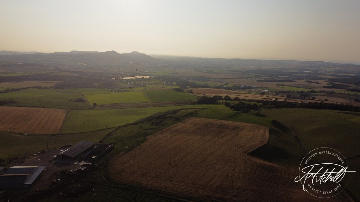 ScotchButcher's tweet image. WHERE WE DELIVER?

We deliver all over the UK through Courier delivery every Thursday, as well as Local Deliveries (KY1-KY13) with our vans every Wednesday, Thursday and Friday. We look forward to serving you.

Shop online @ alexmitchell.online