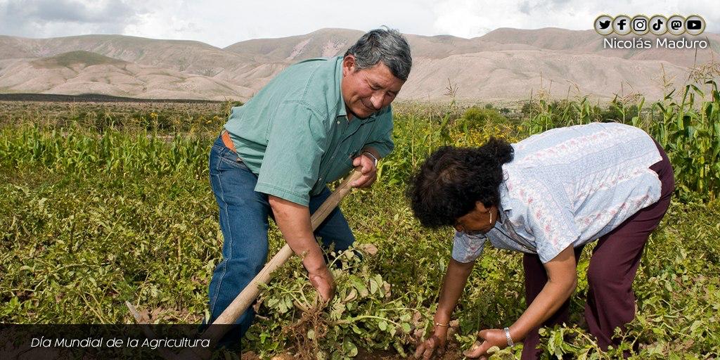 NicolasMaduro's tweet photo. Venezuela celebra el Día de la Agricultura, con una generación de productores que creen y aman profundamente a nuestra Patria. Junto a ellos, avanzamos en la construcción del nuevo modelo económico productivo de gran calidad, pensado para satisfacer las necesidades del pueblo. https://t.co/8yxUbCDWh7