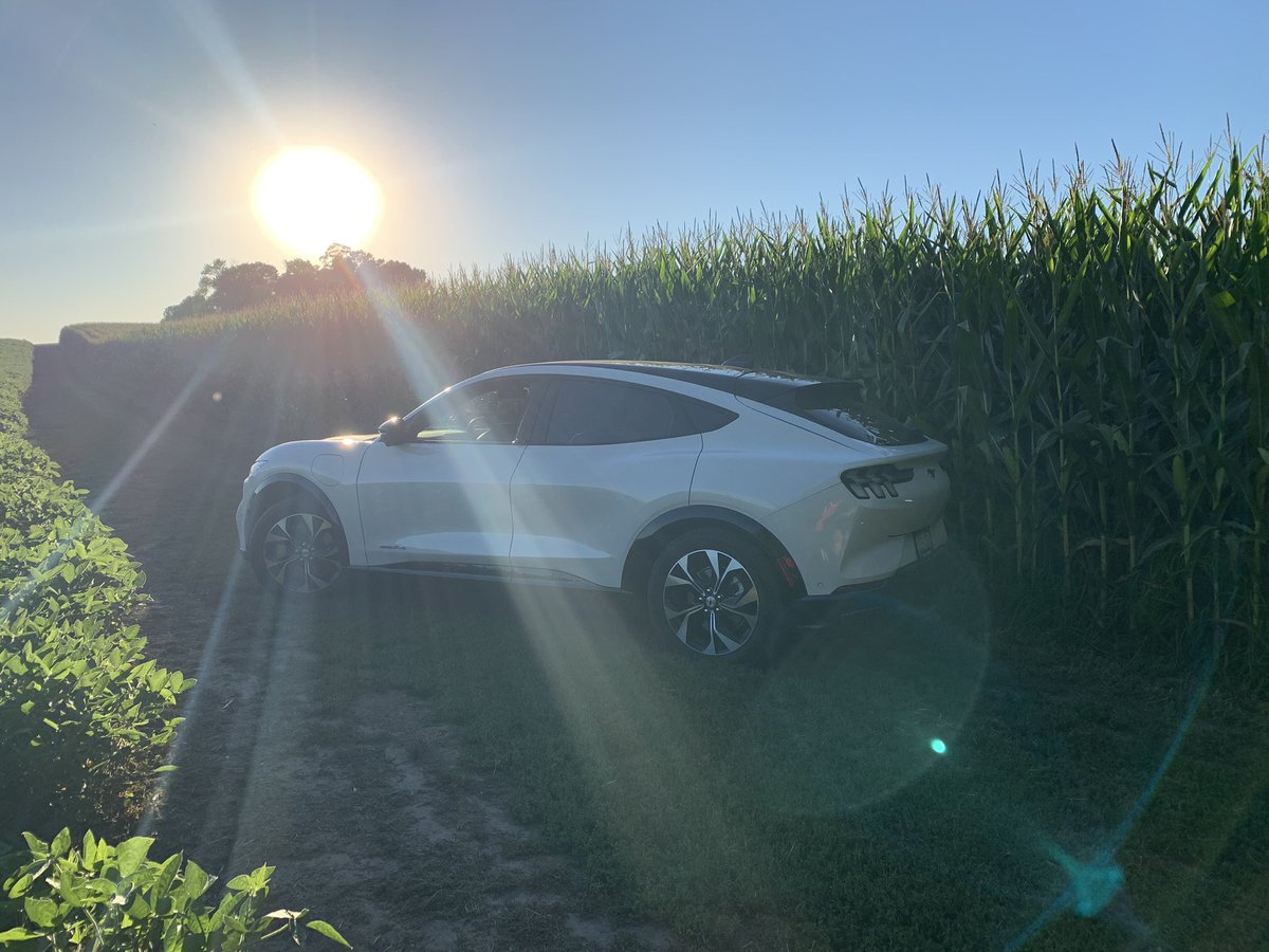 OfficialReegan's tweet photo. Happy #WorldEVDay ! Mustang Mach E for the win #fullyelectric #mustang https://t.co/x7NtvLYDKZ