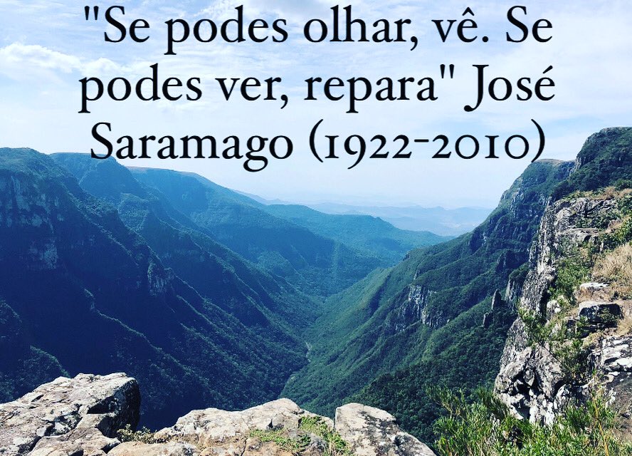 SE PUDERES OLHAR, VÊ. SE PODES VER, José Saramago - Pensador