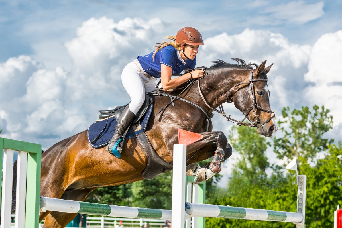 We offer two Topline Protein options to ensure your horse is in good health! Check out our Pellets or Meal – whatever works best for your #horse! #EquineMassage #wellness #equine #equestrianlife