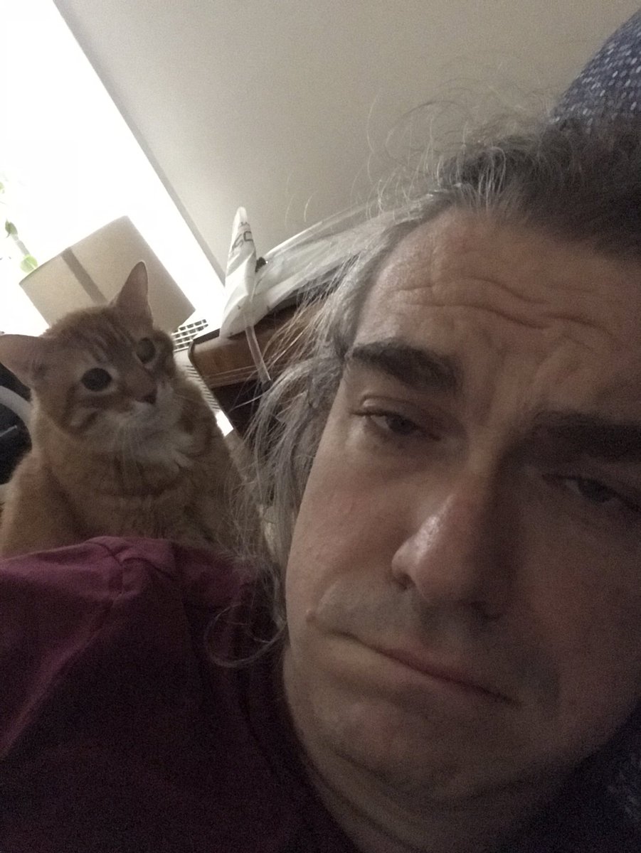 Ivor Tossell tweet media