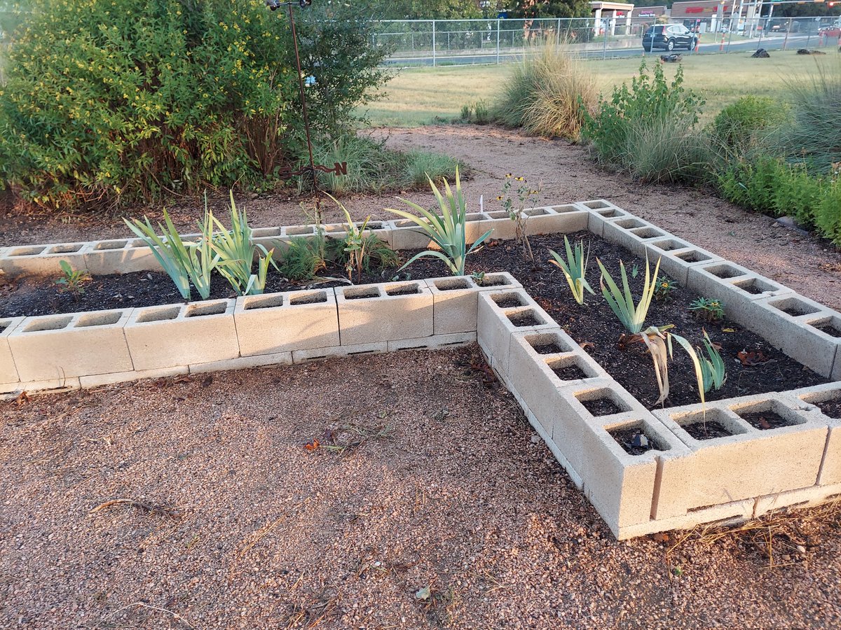 Jessica Oates (@pypoates) on Twitter photo Thank you <a href="/PtaSpicewood/">SpicewoodPTA</a> and the Spicewood community for helping prep our learning garden! It looks great! <a href="/SpicewoodPYP/">Spicewood Elementary</a> Thank you <a href="/PtaSpicewood/">SpicewoodPTA</a> and the Spicewood community for helping prep our learning garden! It looks great! <a href="/SpicewoodPYP/">Spicewood Elementary</a>