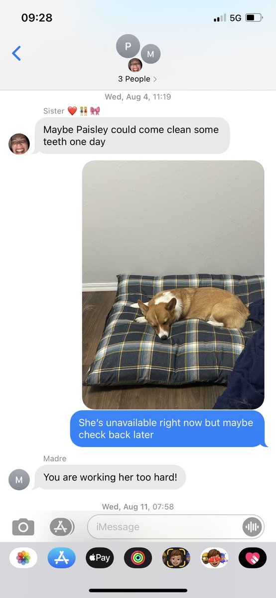 ShelbyHackney's tweet photo. Our favorite bit in the family group chat is pretending pets are coworkers https://t.co/SnIuW923xP