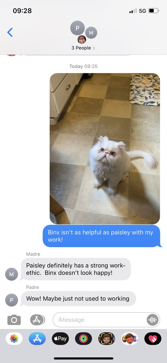 ShelbyHackney's tweet photo. Our favorite bit in the family group chat is pretending pets are coworkers https://t.co/SnIuW923xP