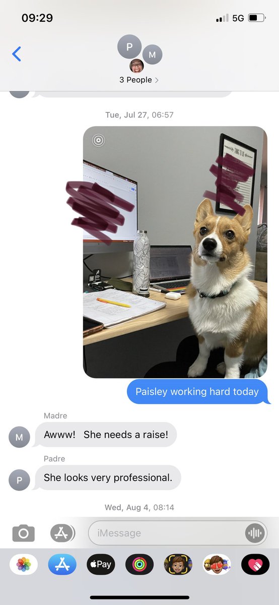 ShelbyHackney's tweet photo. Our favorite bit in the family group chat is pretending pets are coworkers https://t.co/SnIuW923xP