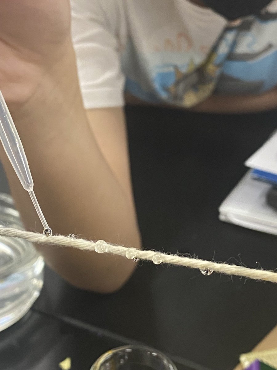 CP Biology investigating water properties #wyproud