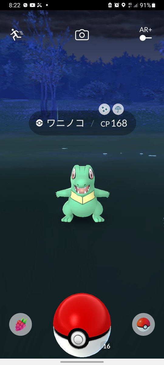 Kknmorilpb94jm Kknmorilpb94jm