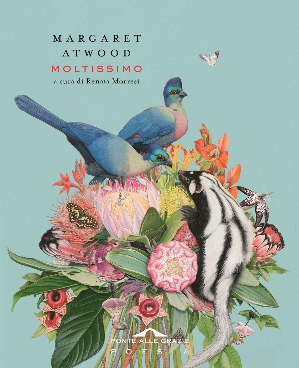CasaLettori's tweet photo. Come
#LibroDiPoesie a #CasaLettori
#SuggeriscoDiLeggere
#Moltissimo Margaret Atwood @ponteallegrazie
"È tardi, è molto tardi;
troppo tardi per ballare.
Allora, canta quel che puoi.
Accendi la luce:
canta ancora, canta:
Ora."
#Storie a #CasaLettori https://t.co/W15pNBc2KI