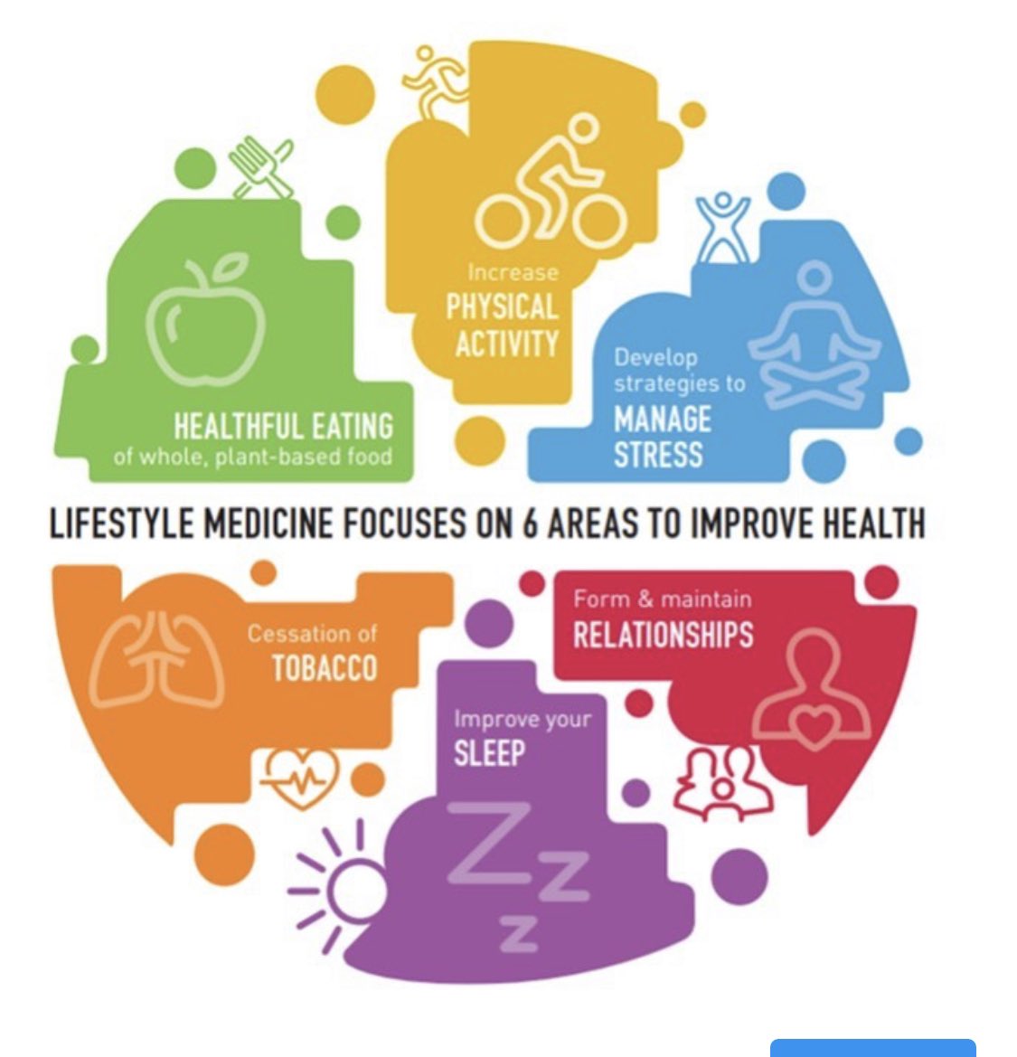This graph by The American College of Lifestyle Medicine is so important, and is constantly on my mind as I see patients. It serves as the template as I design a treatment protocol for our upcoming programs, and it is my focus for my own health and that of my family.