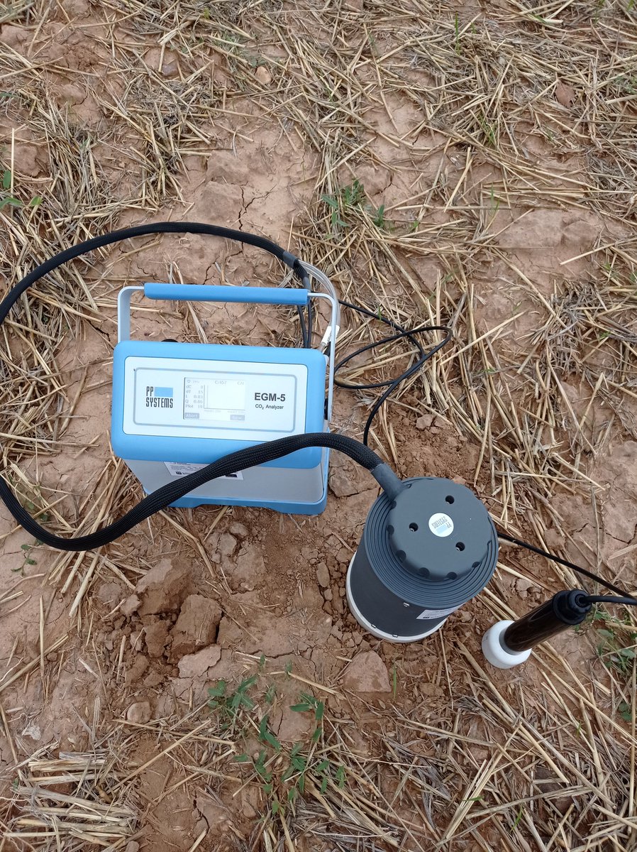 Year 27 of experiment on reducing  tillage and diversifying crops at #INIA_LaCanaleja in central Spain. Measuring soil CO2 emissions with @TraceSoils colleagues @Sara_SanchezMo @caponte__. Thanks Javi, M. Ángel & Paula. @INIA_es @CSIC @EJPSOIL