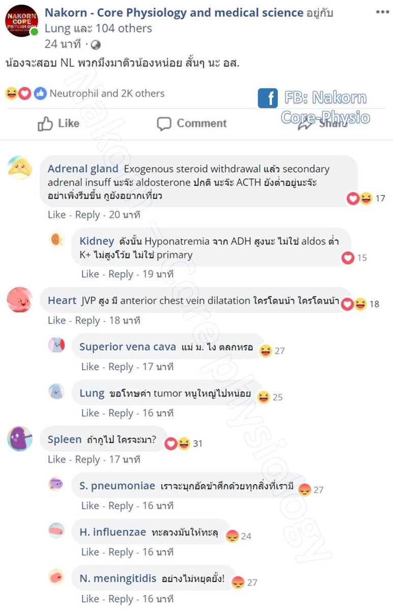 NNakorn5's tweet photo. อ่ะ
🔥🔥แด่น้องๆ ที่จะสอบ NL step 1
ผมเชิญบรรดาน้องๆ อวัยวะ น้องๆ เซลล์
มาติวบางประเด็นให้ละ
.
.
เคเริ่ม
สาม สี่
.
#นสพ #นศพ #แพทย์ #physio #ฟิสิโอ #ศรว #NL1 #NLstep1 —(1) https://t.co/ONHJifb4dK