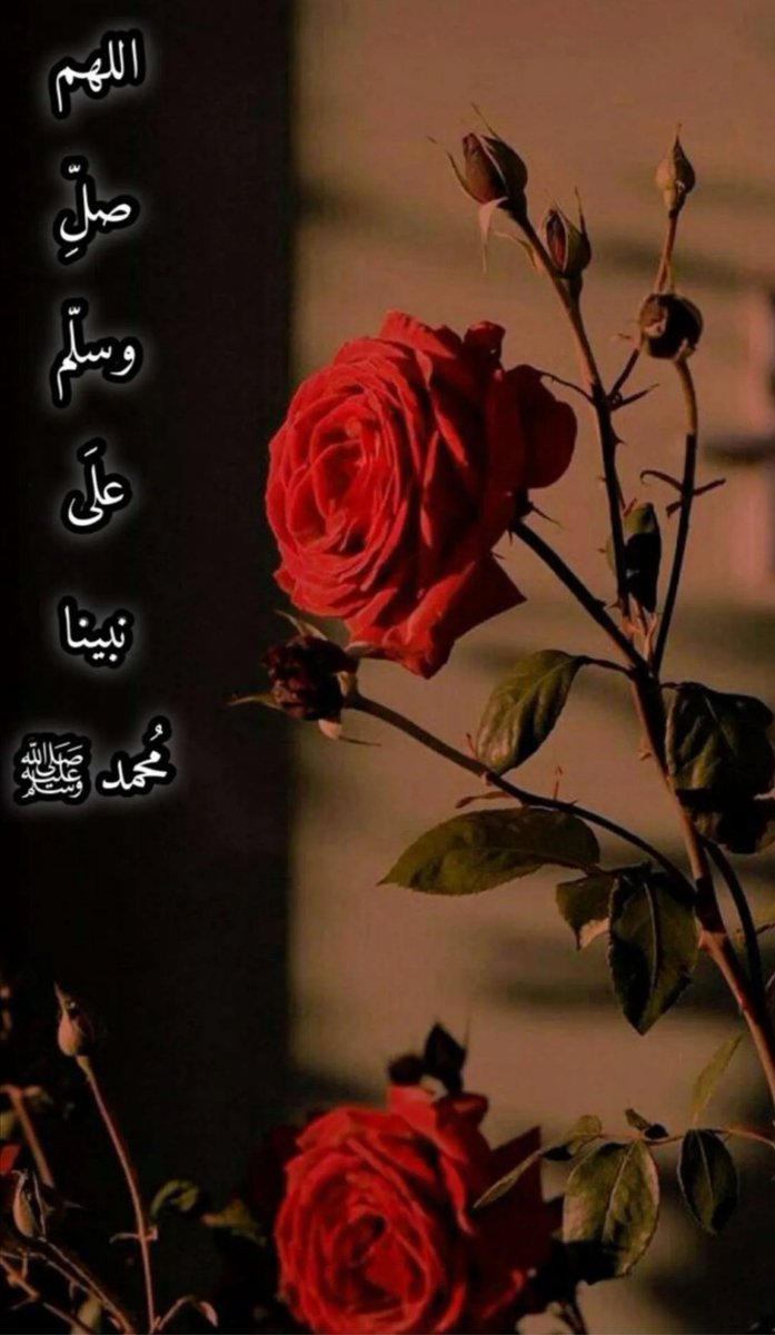 ترفع منك إلى السماء صلاة واحدة على نبيناﷺفتنزل عشر صلوات عليك من الله... اللهم صل وسلم على نبينا محمد وعلى آله وصحبه أجمعين.