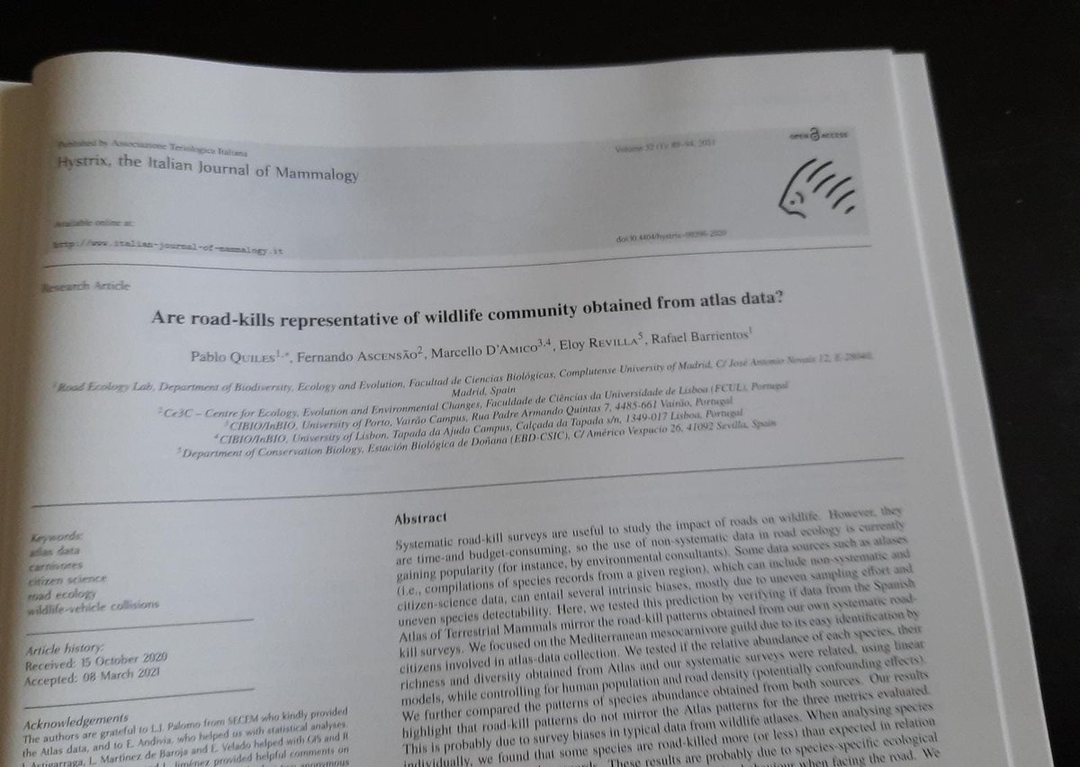 Marcello D'Amico (@mad_ontheroad) on Twitter photo I am a member of @atit_mammiferi so I have just received my copy of the latest Hystrix italian-journal-of-mammalogy.it, including our recent article led by <a href="/PabloQuiles13/">Pablo Quiles</a> and co-authored by <a href="/Fernucht/">Fernando Ascensão</a> <a href="/revilla_eloy/">Eloy Revilla</a> <a href="/rafa_barri/">Rafa Barrientos</a>. Here the online version: italian-journal-of-mammalogy.it/Are-road-kills… #roadecology I am a member of @atit_mammiferi so I have just received my copy of the latest Hystrix italian-journal-of-mammalogy.it, including our recent article led by <a href="/PabloQuiles13/">Pablo Quiles</a> and co-authored by <a href="/Fernucht/">Fernando Ascensão</a> <a href="/revilla_eloy/">Eloy Revilla</a> <a href="/rafa_barri/">Rafa Barrientos</a>. Here the online version: italian-journal-of-mammalogy.it/Are-road-kills… #roadecology