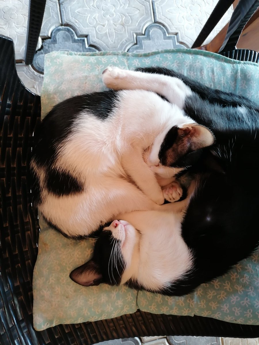 İki kardeş ve anneleride diğer sandalyede