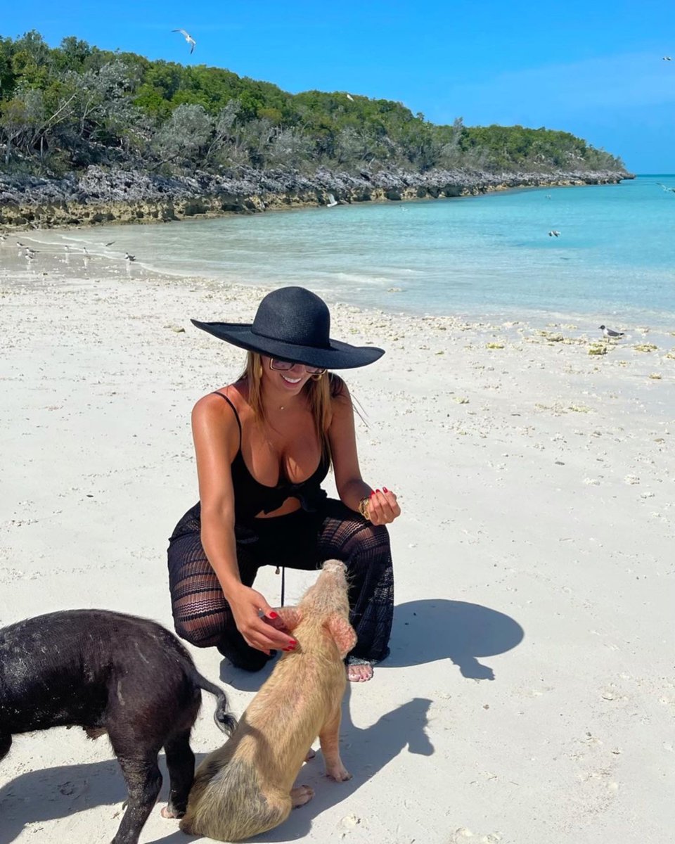 PigsofParadise's tweet photo. Who doesn't love some pets, smiles & attention from time to time.
πΈ: @danisuarezd / IG
*Order your copy today https://t.co/DRd51abDpm
Link in bio π·π¦ππ΄β£β£
#pigsofparadise #bahamas #pigbeach #pigs #book #dreamvacation #traveltips #featurefilm #pigsofinstagram #famous ... https://t.co/11zGEgu92z