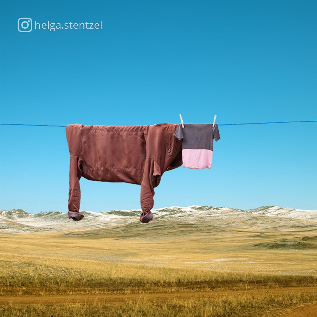 trt2tv's tweet photo. Sıradan objeleri yaratıcılığıyla harmanlayan sanatçı Helga Stentzel’in sıra dışı bir serisi 🐄 https://t.co/Z1z1PqdvRK