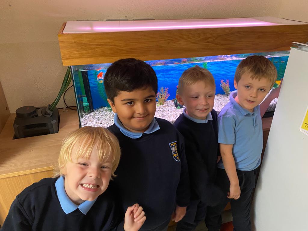 maynoothbns's tweet photo. #juniorinfants  saying hello to our #schoolfish https://t.co/QUSkB0wA6a