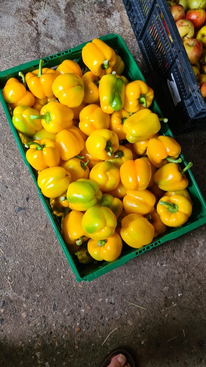 Mark Haagen tweet media