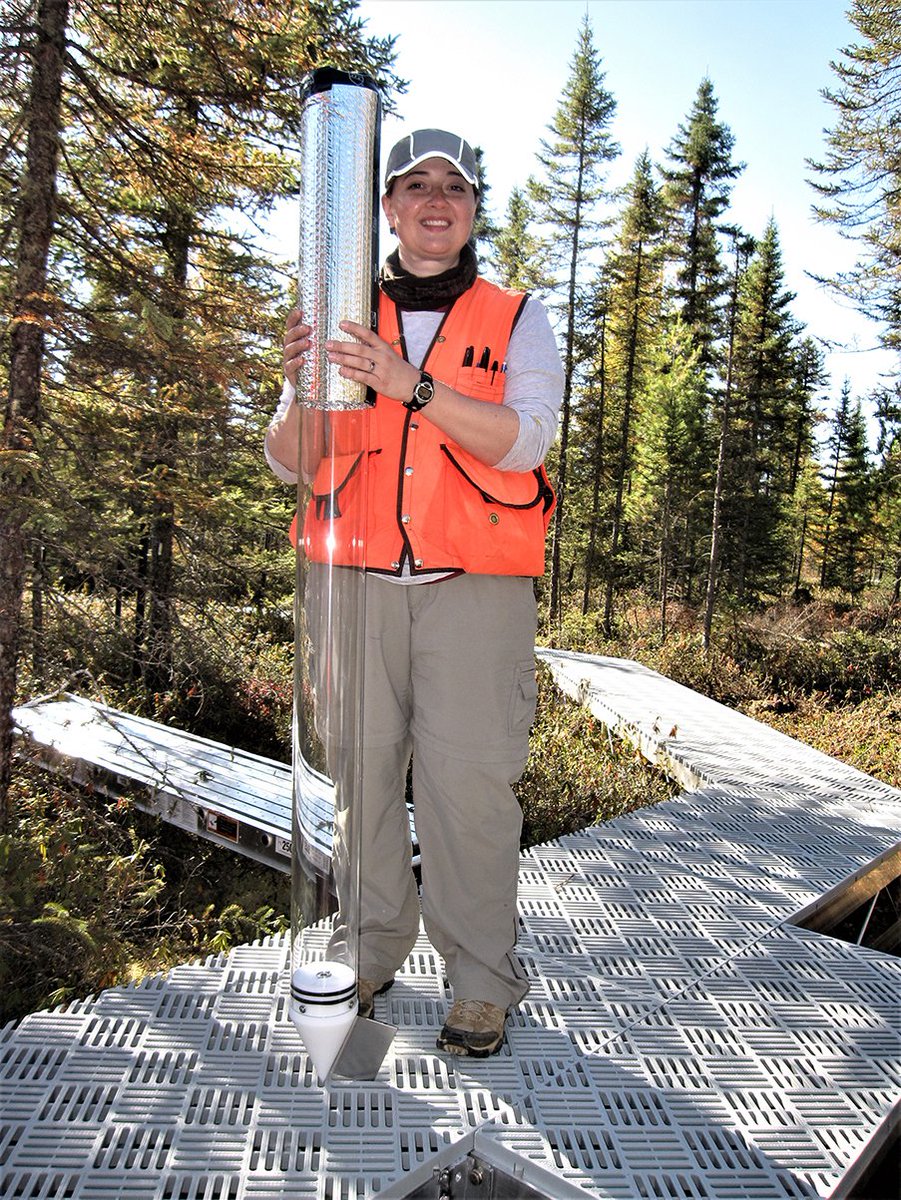 Mycorrhizal #fungi enable plants to thrive in boreal #peatlands, supporting their contribution to climate regulation. High-resolution minirhizotrons allow an unprecedented glimpse below the bog surface 👇 nph.onlinelibrary.wiley.com/doi/full/10.10… @CamilleDefrenne @Colleen_Iversen