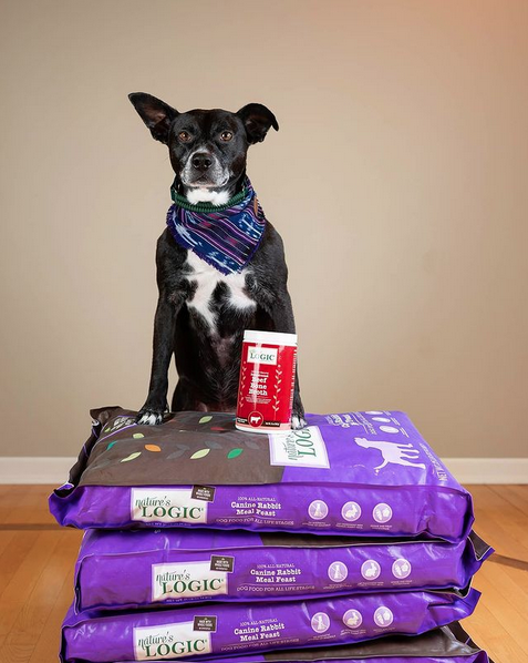 #Repost from Adventures from Rocko (IG):
Ever guess how Rocko looks so young at age 9? We've been feeding him @natureslogic for awhile now and he's been thriving on it! He has a sensitive stomach with allergies (especially bad in the summertime) and does best with 🐟 or 🐰.