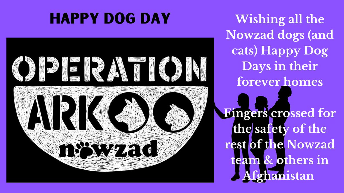 🐕‍🦺Wishing all the <a href="/Nowzad/">NOWZAD</a> dogs &amp; cats a #HappyDogDay today &amp; on into their forever homes 

🤞🤞We're keeping our fingers crossed for the safety of the rest of the team - people &amp; animals - &amp; the successful completion of #OperationArk 

A true humanitarian mission
🙏🙏 to everyone