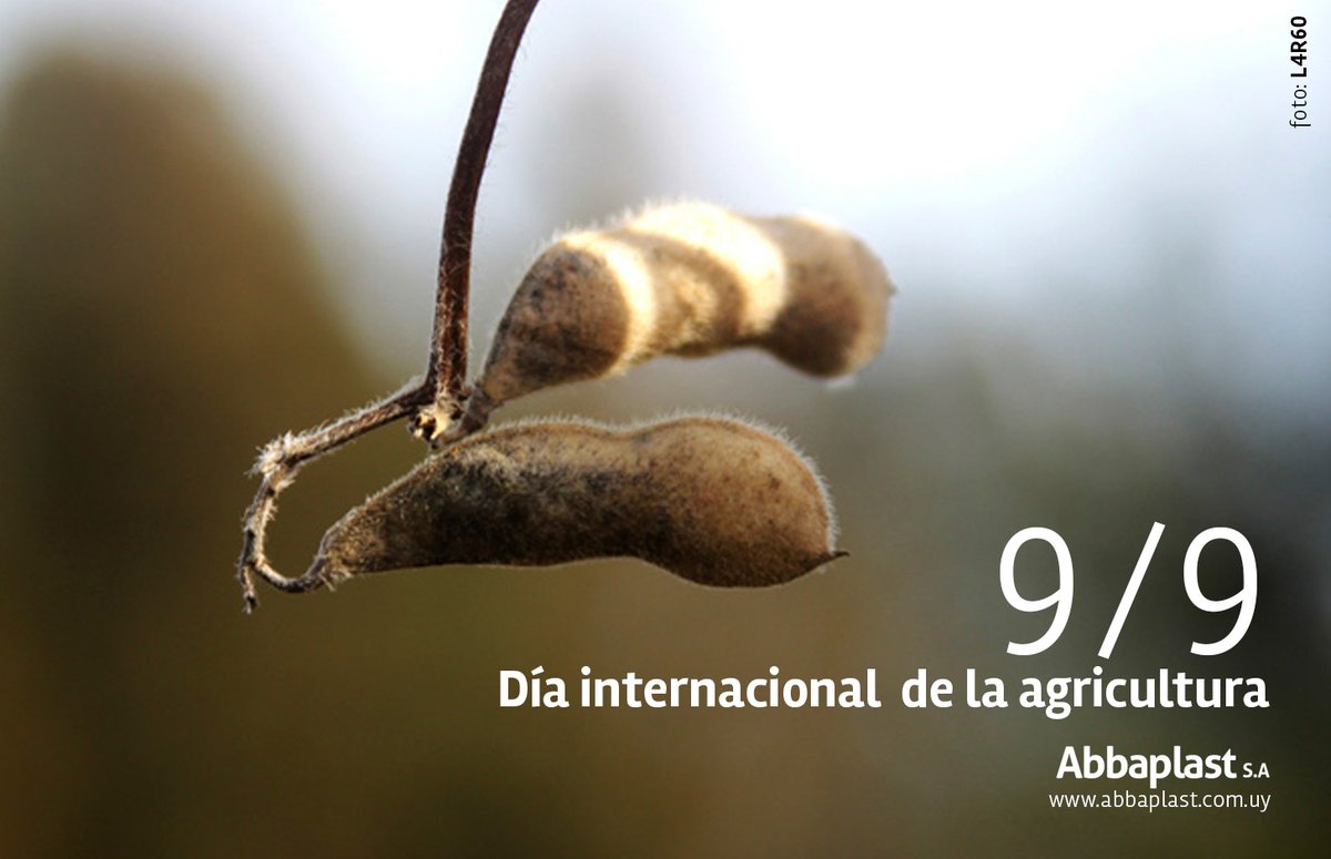 Reivindicar el trabajo de los agricultores, vital para la sociedad.
Saludarlos hoy en su día y agradecer su gran labor.
Feliz día Internacional de la Agricultura 🇺🇾🌱
<a href="/MGAPUruguay/">MGAP</a>