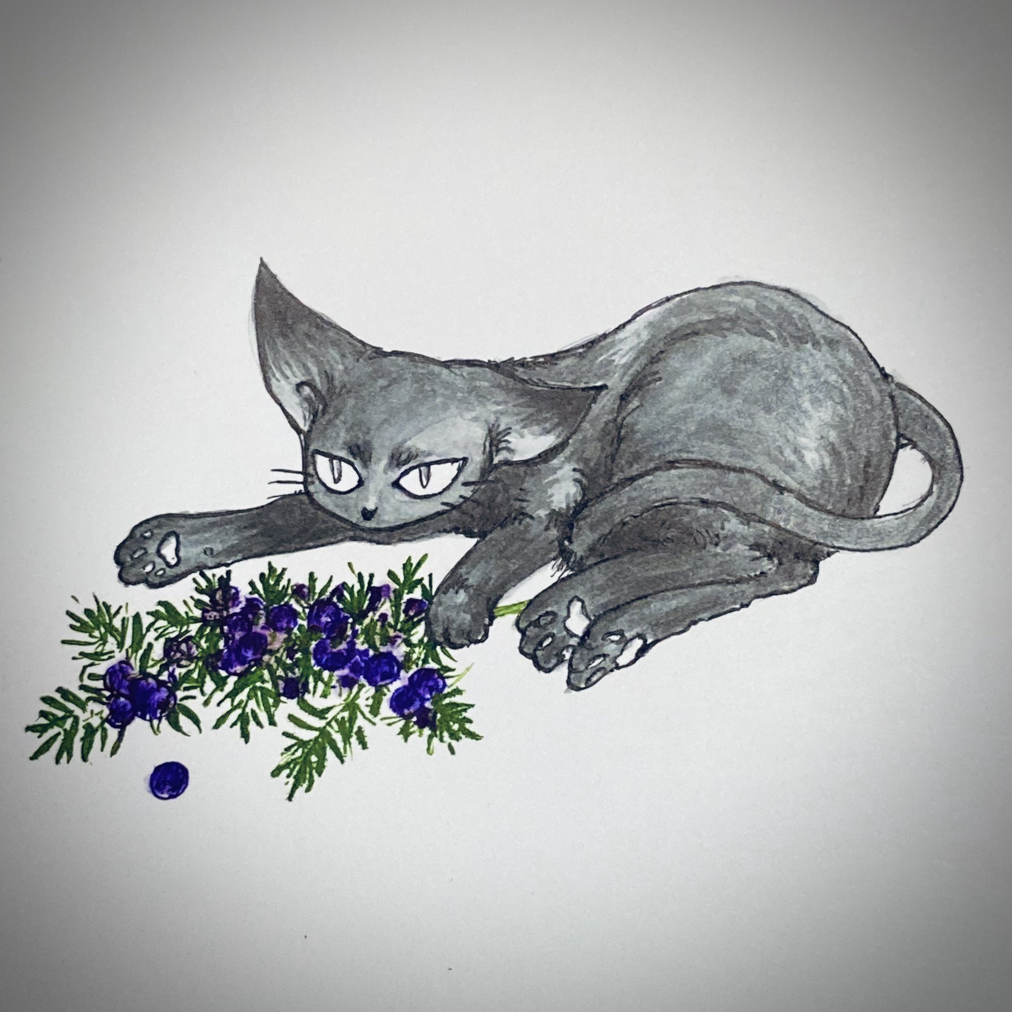 みとせのりこ 次はお花見ライヴかな 酒飲み冥利に尽きる みとせお酒のラベルを描きました の件 お祝いの言葉やいいねを有難うございます とてもうれしいです お酒の酒類は が気になる方が多いようなので 酒飲みとしては当然の疑問