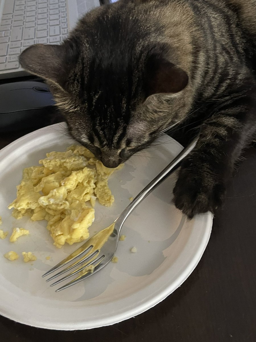 HarmonyUsInc's tweet photo. #Notspoiled #shoggath #PetCabal #keephumanshome https://t.co/4WqTpSY9Tr