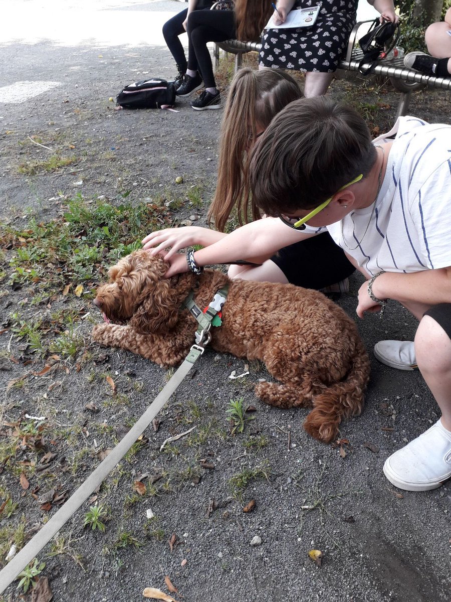 School of Childhood & Education #FE tweet media