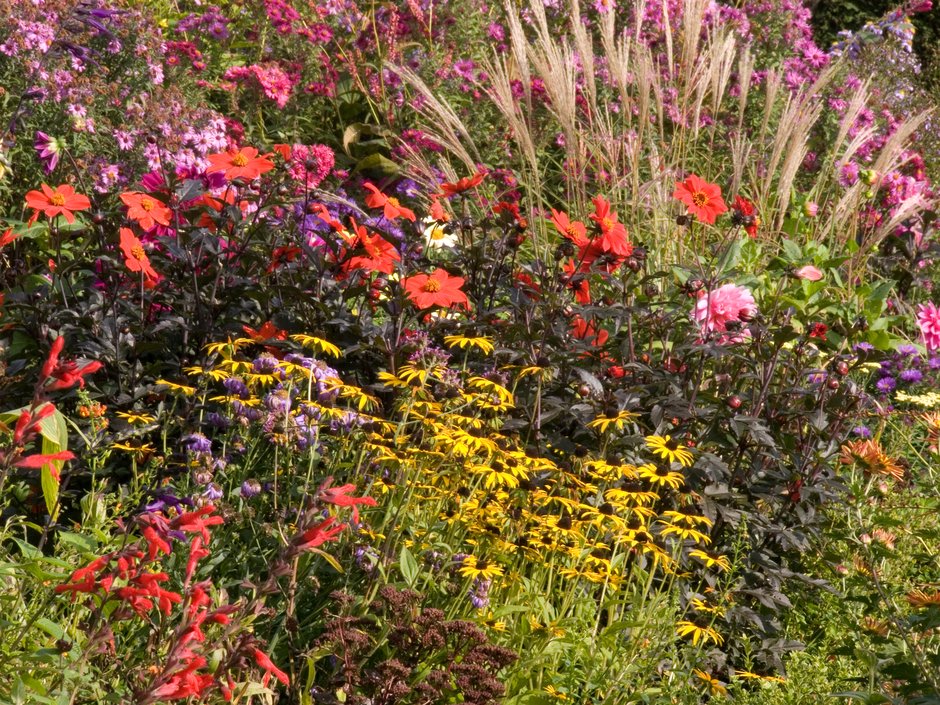 The_RHS's tweet photo. This year’s #RHSChelsea will make the most out of autumn, showcasing colourful gardens and beautiful plants. 

There’s just over a week to go until the show, sponsored by M&amp;G, so get your tickets now to experience a completely unique show: 

https://t.co/dN6hlhWsGw https://t.co/OYsuTK331L