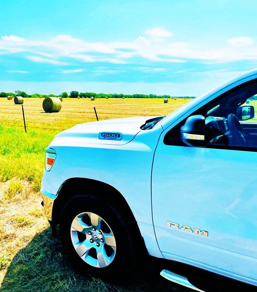 Katie Whittiker tweet media