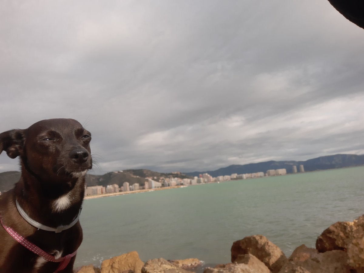 Feliz jueves desde #cullera #valencia , a por el viernes amigos