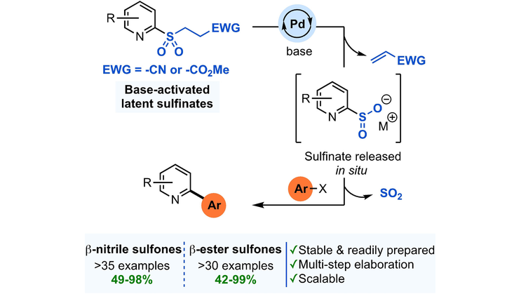 angew_chem's tweet photo. Base-Activated Latent Heteroaromatic Sulfinates as Nucleophilic Coupling Partners in Palladium-Catalyzed #CrossCoupling Reactions (Willis) @RhPdCu @OxfordChemistry #OpenAccess https://t.co/jp8S0cfXqh https://t.co/32Sp5eN1xZ