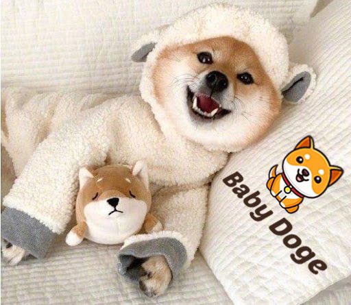 VT_BNB's tweet photo. Love is everything.❤️🐶🍼
#BabyDoge #BabyDogeCoin 
@elonmusk @babydoge https://t.co/QmulIkez6P