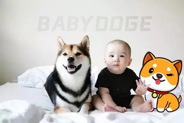 VT_BNB's tweet photo. Love is everything.❤️🐶🍼
#BabyDoge #BabyDogeCoin 
@elonmusk @babydoge https://t.co/QmulIkez6P