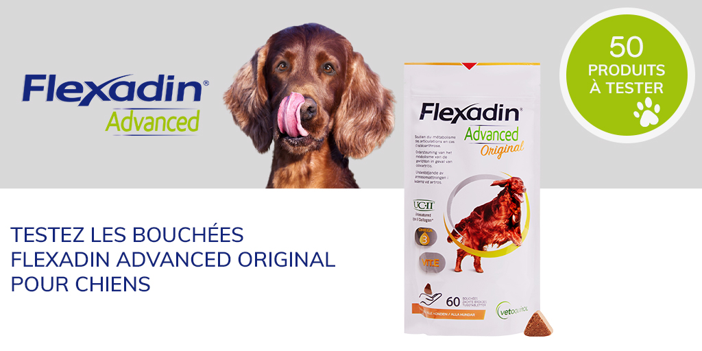 ConsoAnimo's tweet image. Il ne vous reste plus que quelques heures pour vous inscrire et tenter de recevoir gratuitement les bouchées Flexadin Original ! 
consoanimo.com/test/flexadin-…

#consoanimo #testproduit #flexadin