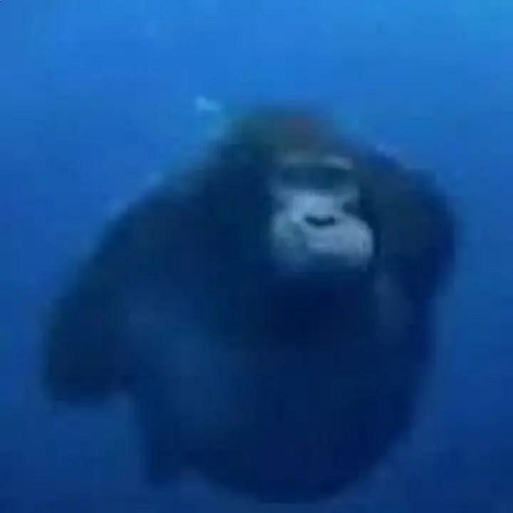 devilwasfound's tweet image. monke